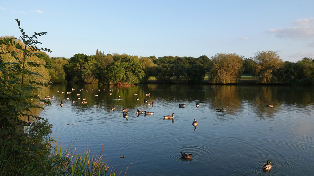 Is Billericay a Nice Place to Live? | Make Space
