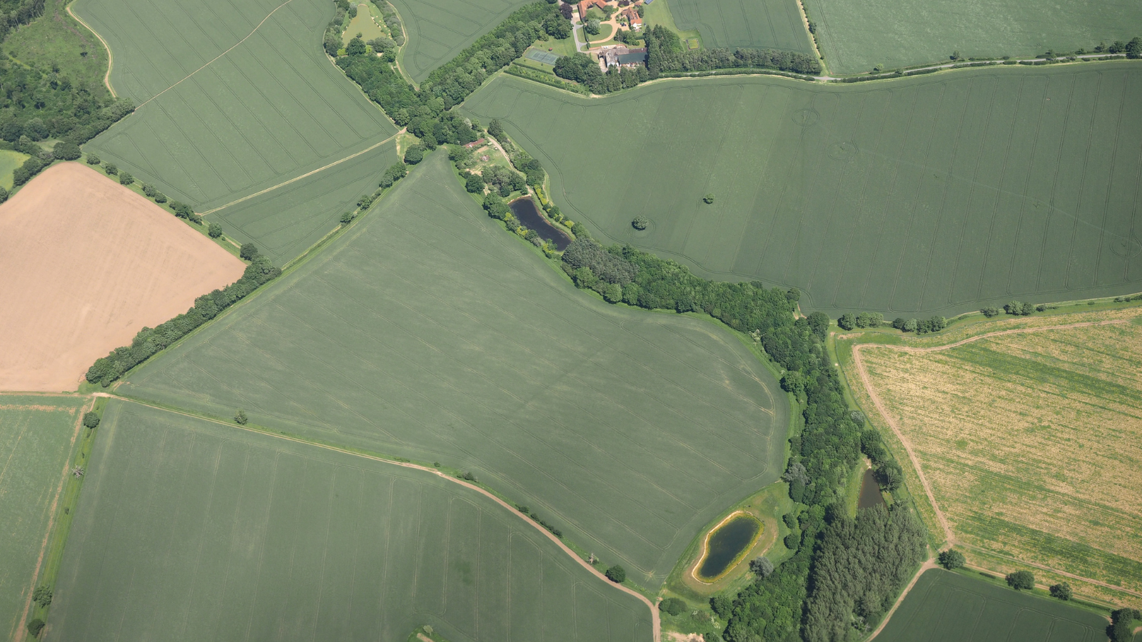  Birds-eye view of green fields in Essex.